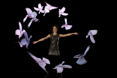 ANNELED-20160201-TW-119